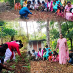 വട്ടവിള വി. യാക്കോബ് ശ്ലീഹ പള്ളിയിൽ തിരുന്നാൾ ആഘോഷങ്ങൾക്ക് ഭക്തി സാന്ദ്രമായ തുടക്കം