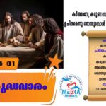 14 പള്ളികൾ സന്ദർശിച്ച് കുരിശിന്റ വഴി നടത്തി നെല്ലിമൂട് KLCWA അംഗങ്ങൾ